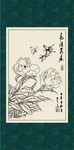 芍药