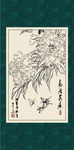 芍药
