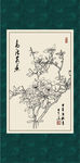 连翘
