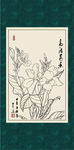 美人蕉