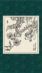 凌霄