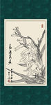 菖蒲