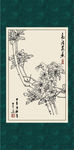 海棠