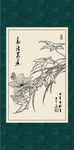 草芙蓉