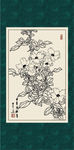 蔷薇
