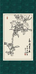 蔷薇