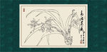 兰花