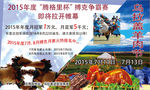 羊肉节海报