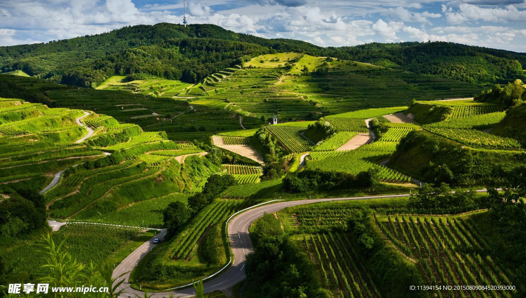 梯田风景