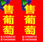 葡萄
