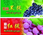 红提黑提不干胶