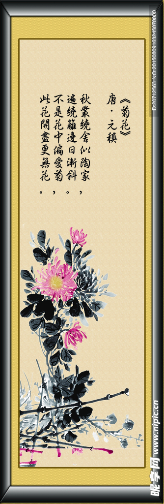 菊花
