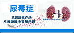 尿毒症