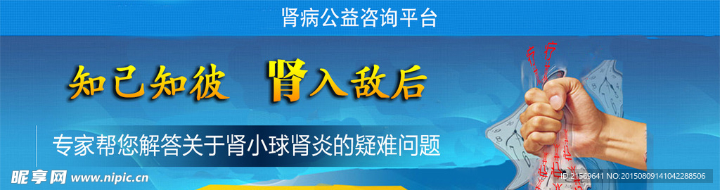 肾炎网站banner