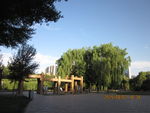 公园