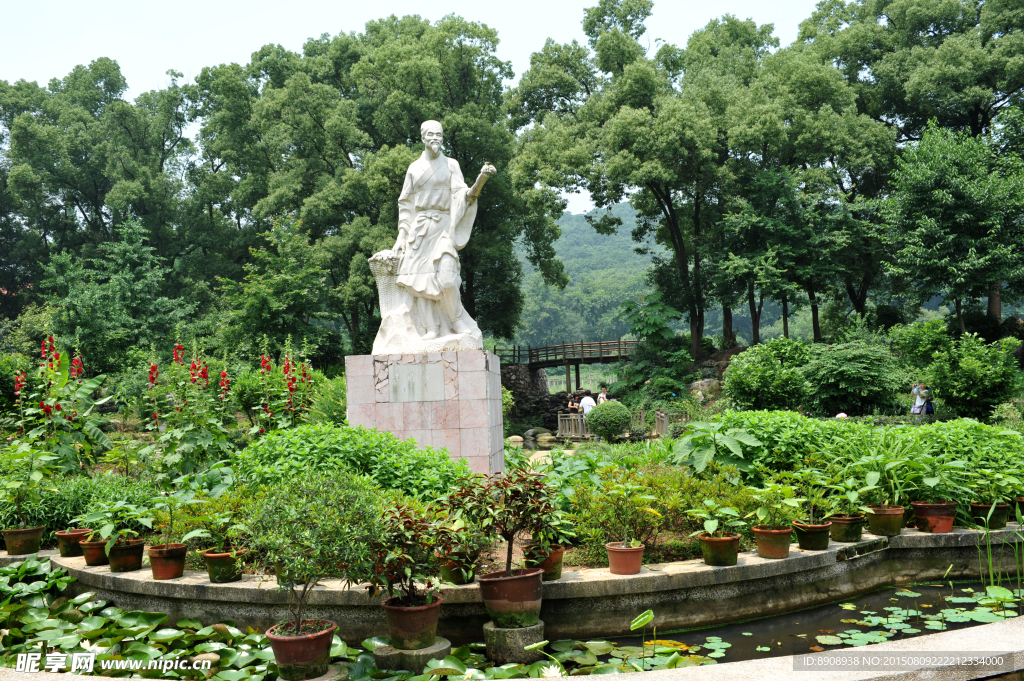 李时珍