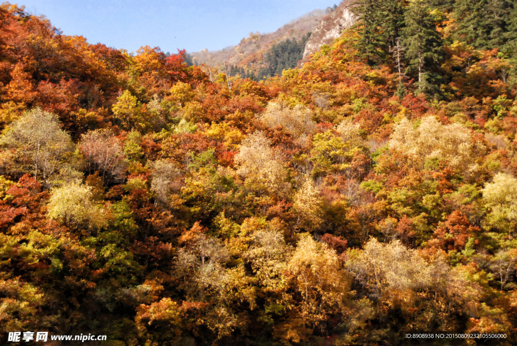 兰州兴隆山
