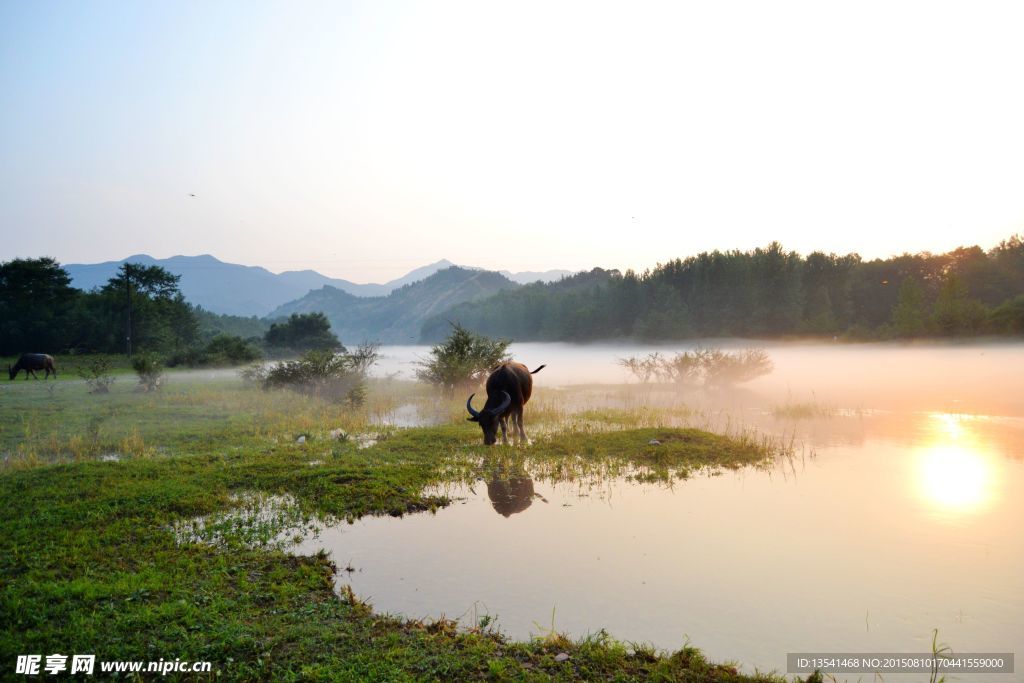 虎头潭晚景