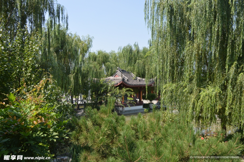 园林景观