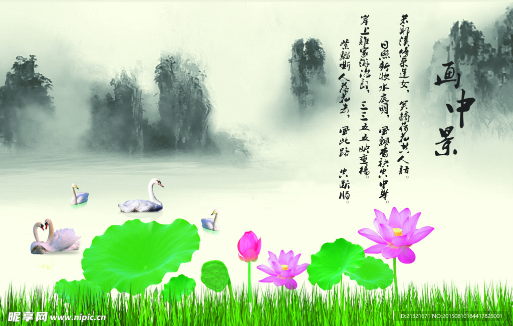 荷花风景图片