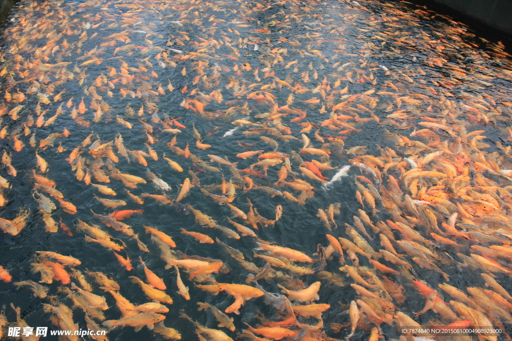 千岛湖风光