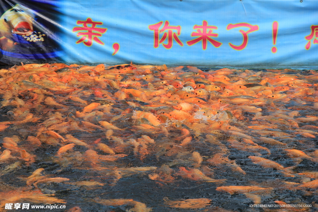 千岛湖风光