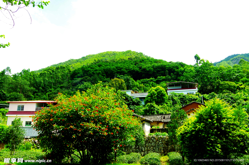 逢山必有客 无客不居山