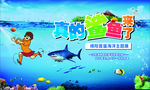 鲨鱼来了