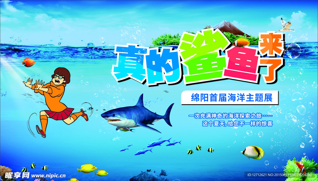 鲨鱼来了