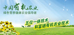有机食品banner