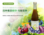 酵素详情