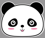 小熊猫