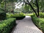 小区园林