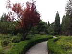 小区园林