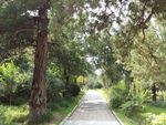 小区园林景观