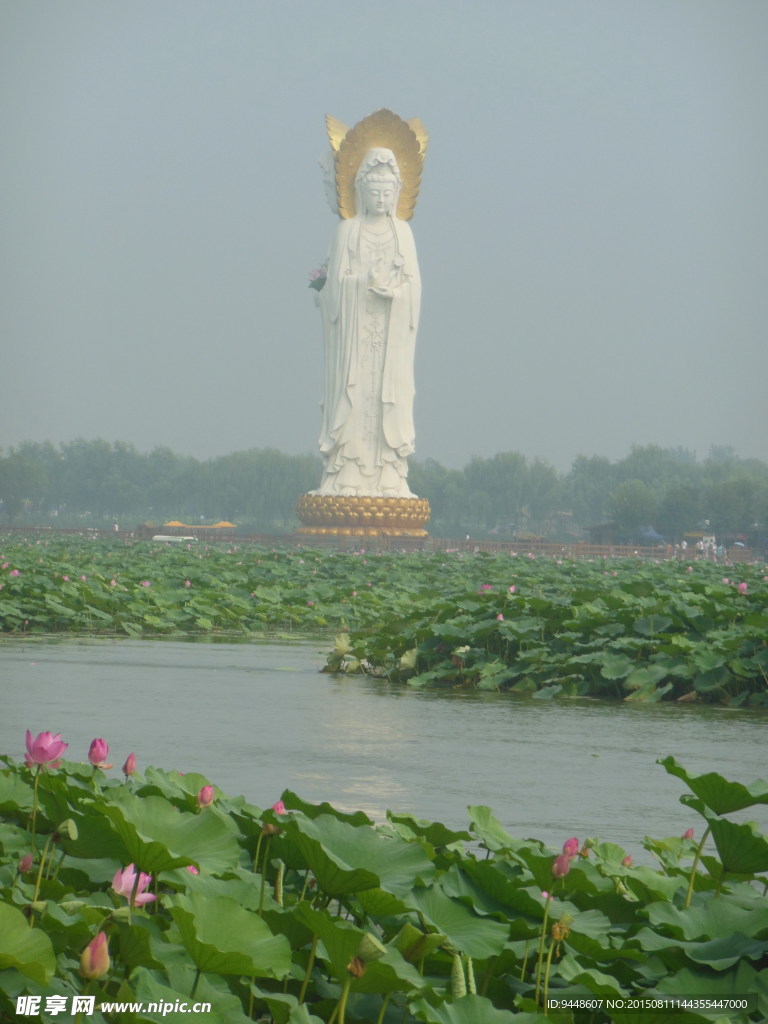 白洋淀风景