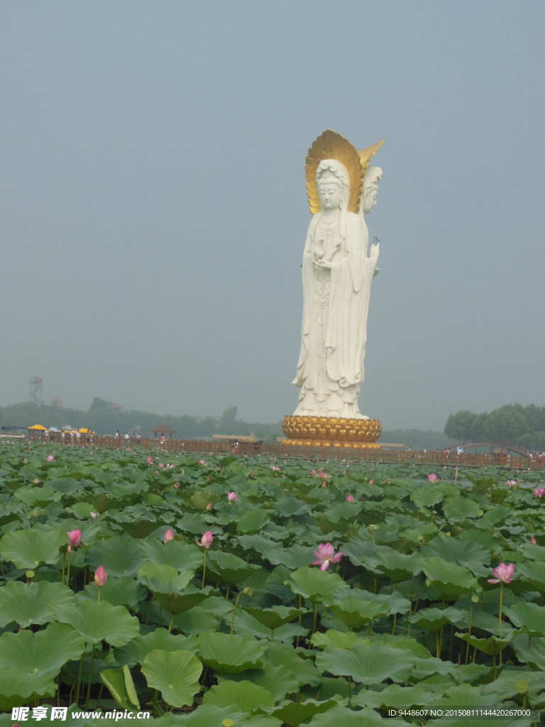 白洋淀旅游