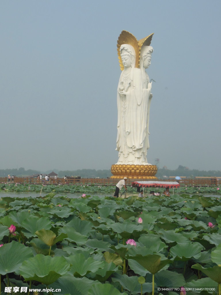 白洋淀风景