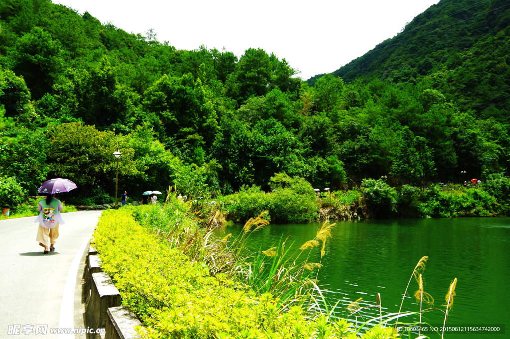 桥溪古韵 山水雁南飞