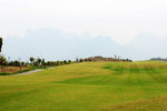山坡上草地