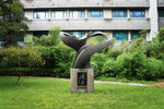 中国人民大学