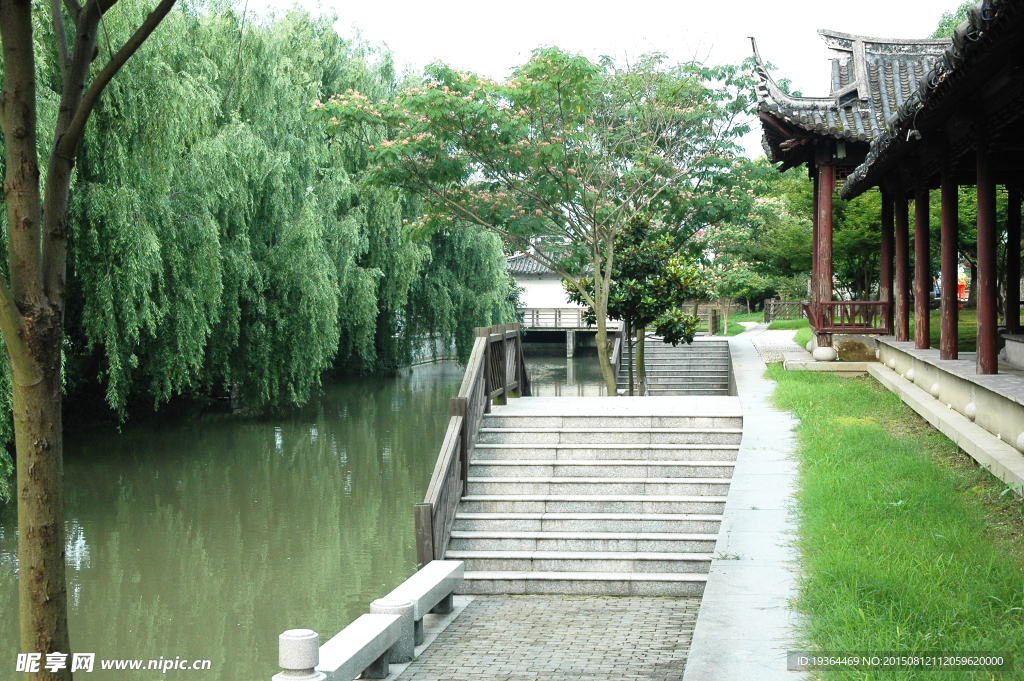 青青河边草