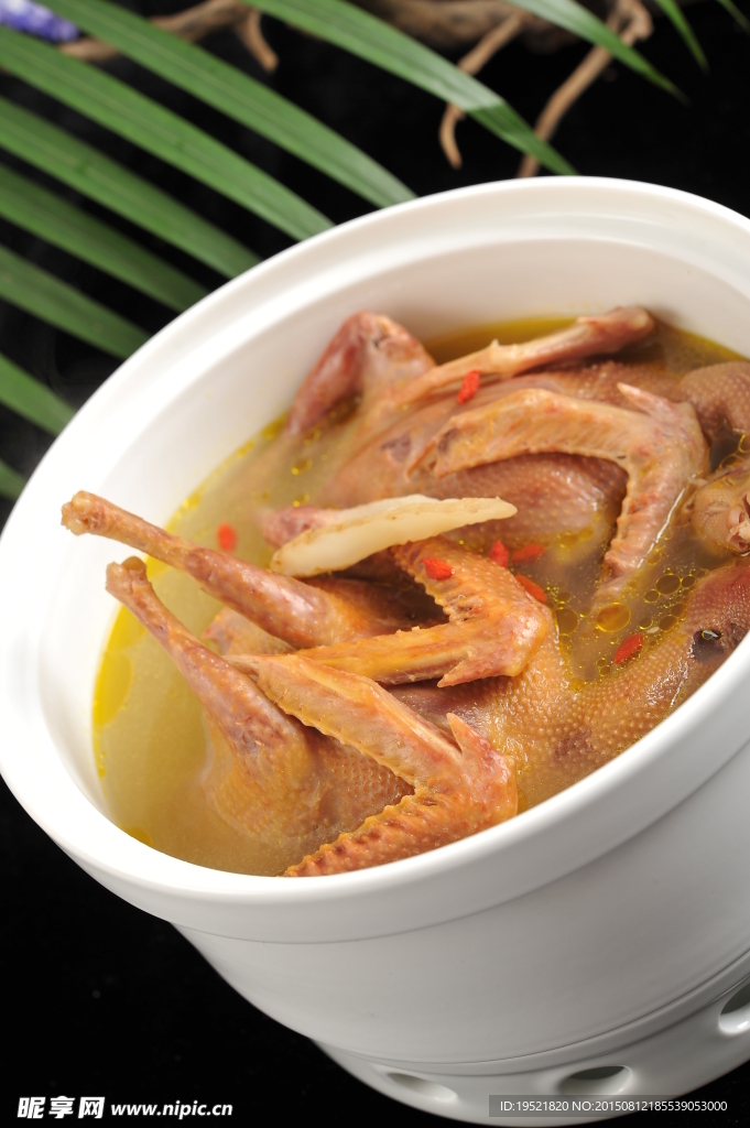 天麻炖双鸽