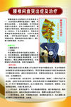 腰椎间盘突出症展板