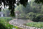 公园  风景