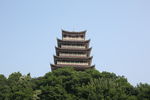 塔   风景  公园