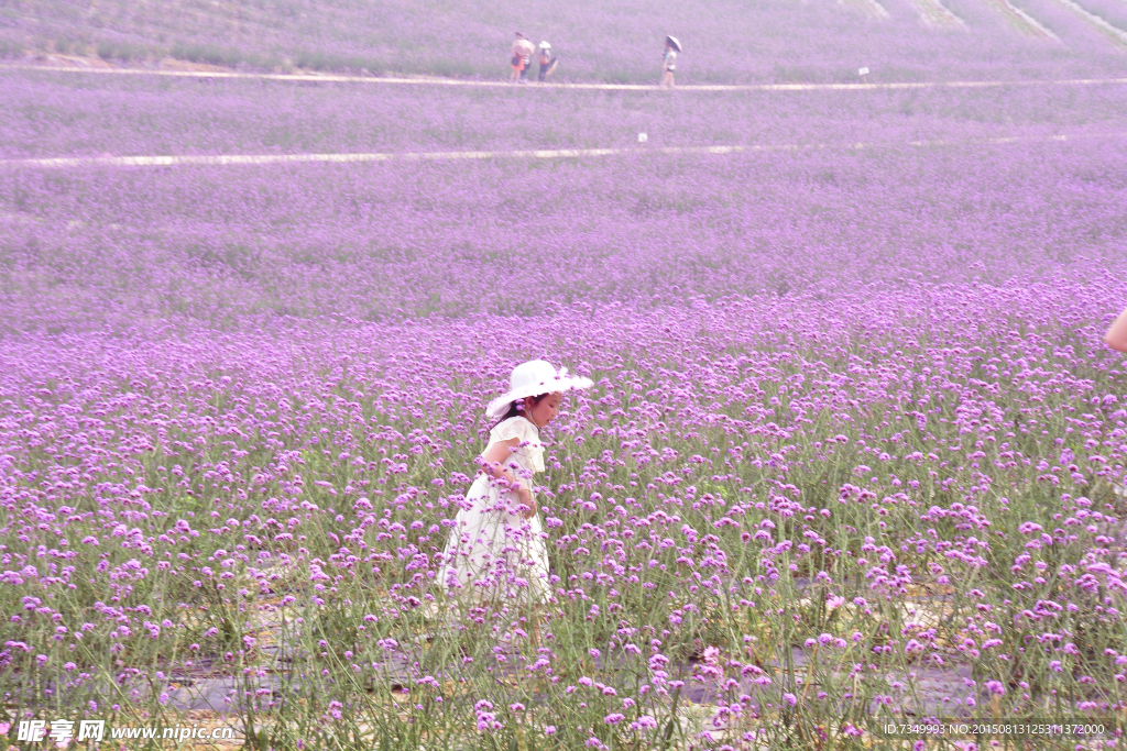 香薰山谷