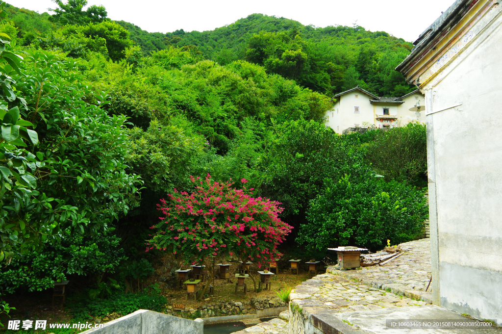 桥溪古韵 深山蜂橱