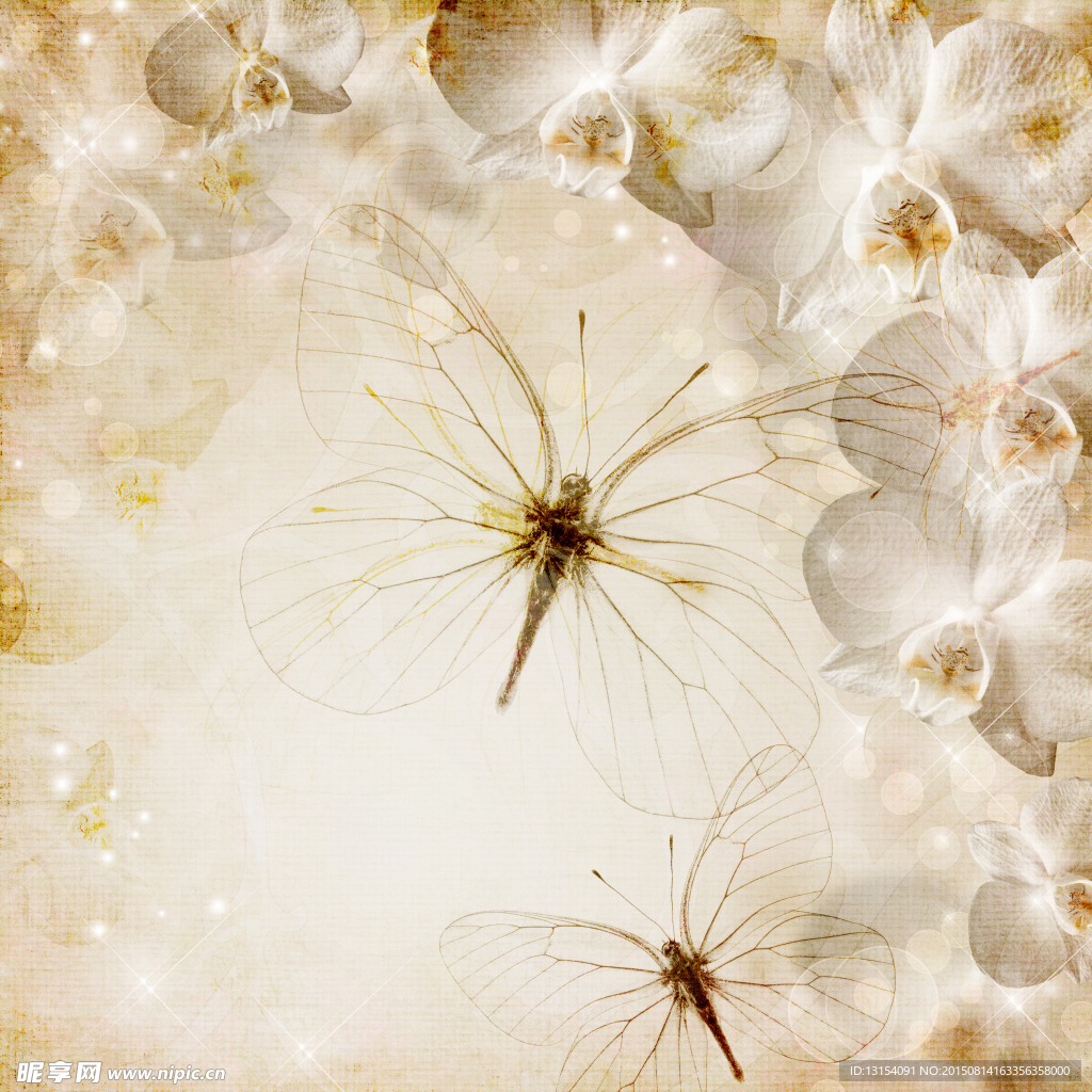 怀旧花卉淡雅背景图片