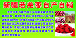 新疆若羌红枣